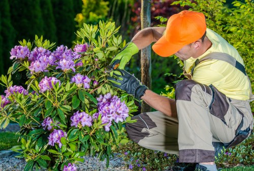 Professional hedge cutting service for a Temple garden boundary