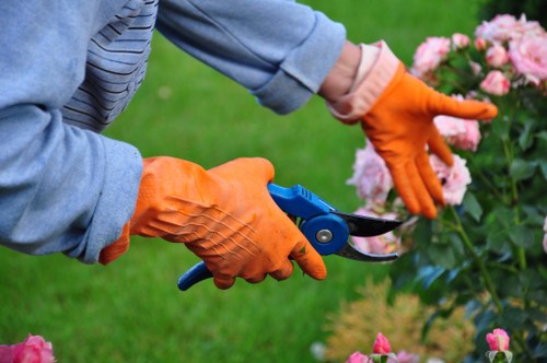 SSL-encrypted checkout for Tree Surgeons Temple payments