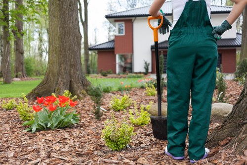 Preparation and cleanup after hedge cutting in Temple